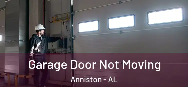  Garage Door Not Moving Anniston - AL
