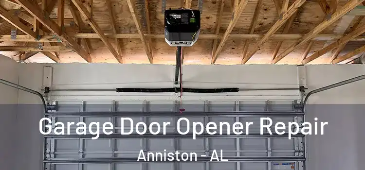  Garage Door Opener Repair Anniston - AL
