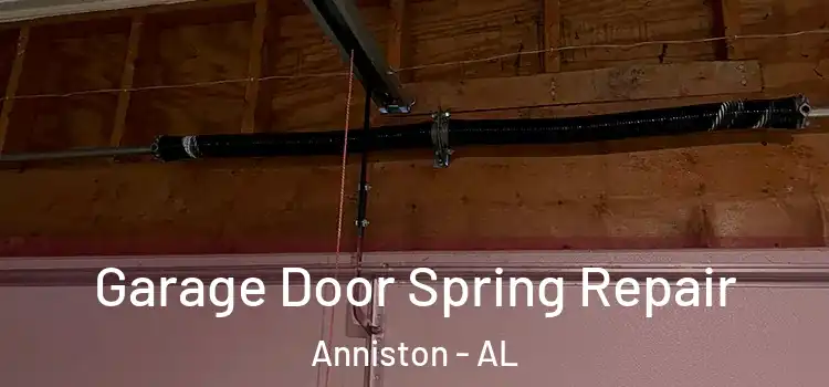  Garage Door Spring Repair Anniston - AL
