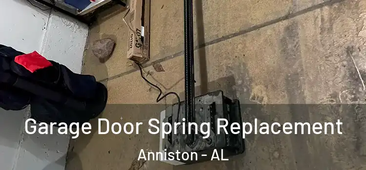  Garage Door Spring Replacement Anniston - AL