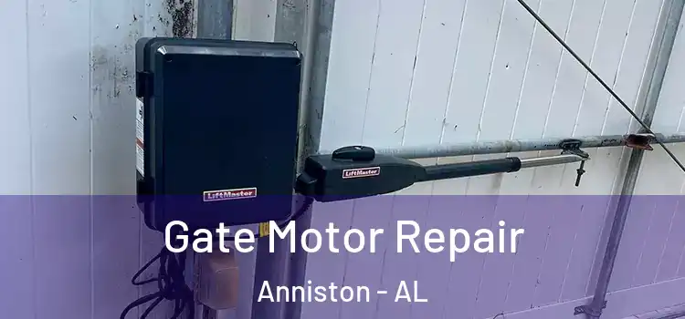 Gate Motor Repair Anniston - AL