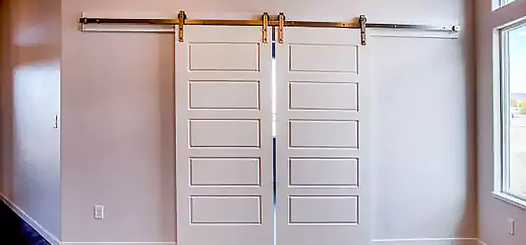 Glass Barn Door with Installation Hardware Kit Anniston