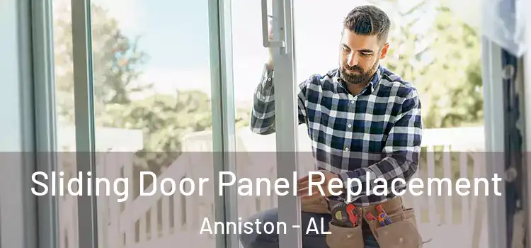  Sliding Door Panel Replacement Anniston - AL