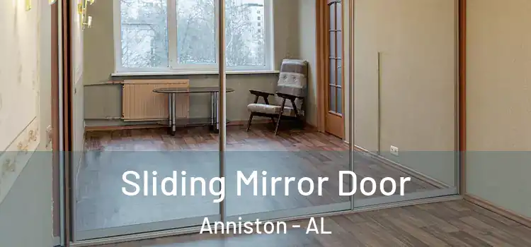  Sliding Mirror Door Anniston - AL